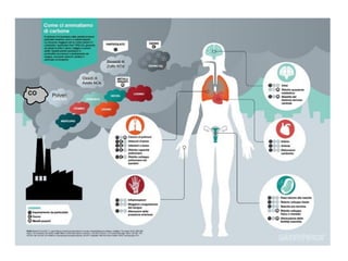 Polveri
Ossidi di
Azoto NOx
Biossidi di
Zolfo SO2
CO
 