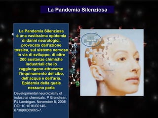 La Pandemia Silenziosa
è una vastissima epidemia
di danni neurologici,
provocata dall’azione
tossica, sul sistema nervoso
in via di sviluppo, di oltre
200 sostanze chimiche
industriali che lo
raggiungono attraverso
l’inquinamento del cibo,
dell’acqua e dell’aria.
Epidemia della quale
nessuno parla
Developmental neurotoxicity of
industrial chemicals. P Grandjean,
PJ Landrigan. November 8, 2006
DOI:10.1016/S0140-
6736(06)69665-7.
La Pandemia Silenziosa
 