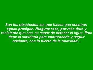Son los obstáculos los que hacen que nuestras  aguas prosigan. Ninguna roca, por más dura y resistente que sea, es capaz de detener el agua. Ésta tiene la sabiduría para contornearla y seguir adelante, con la fuerza de la suavidad... 