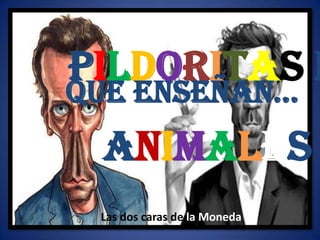 Pildoritas deHumor Que enseñan... Animales Las dos caras de la Moneda 