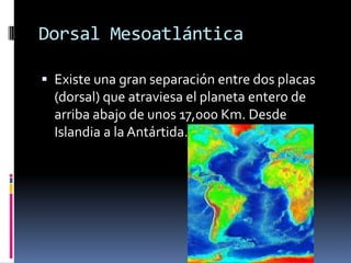 Dorsal Mesoatlántica
 Existe una gran separación entre dos placas

(dorsal) que atraviesa el planeta entero de
arriba abajo de unos 17,000 Km. Desde
Islandia a la Antártida.

 