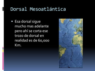 Dorsal Mesoatlántica
 Esa dorsal sigue

mucho mas adelante
pero ahí se corta ese
trozo de dorsal en
realidad es de 60,000
Km.

 