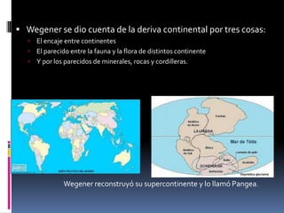  Wegener se dio cuenta de la deriva continental por tres cosas:


El encaje entre continentes
 El parecido entre la fauna y la flora de distintos continente
 Y por los parecidos de minerales, rocas y cordilleras.

Wegener reconstruyó su supercontinente y lo llamó Pangea.

 