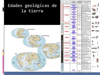 Edades geológicas de
la tierra

 