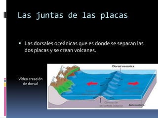 Las juntas de las placas
 Las dorsales oceánicas que es donde se separan las

dos placas y se crean volcanes.

Vídeo creación
de dorsal

 