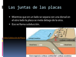 Las juntas de las placas
 Mientras que en un lado se separa con una dorsal en

el otro lado la placa se mete debajo de la otra.
 Eso se llama subducción.

Video Subducción de Placas

 