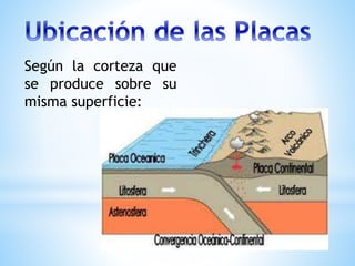 Según la corteza que
se produce sobre su
misma superficie:
 