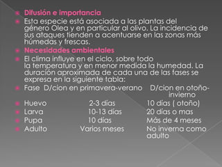 Difusión e importanciaEsta especie está asociada a las plantas del género Olea y en particular al olivo. La incidencia de sus ataques tienden a acentuarse en las zonas más húmedas y frescas.Necesidades ambientalesEl clima influye en el ciclo, sobre todo la temperatura y en menor medida la humedad. La duración aproximada de cada una de las fases se expresa en la siguiente tabla:Fase  D/cion en primavera-verano    D/cion en otoño-							inviernoHuevo	                2-3 días		10 días ( otoño)Larva		    10-13 días		20 días o masPupa		    10 días		Más de 4 meses Adulto		Varios meses		No inverna como 						adulto