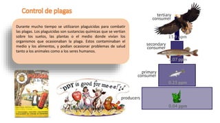 Durante mucho tiempo se utilizaron plaguicidas para combatir
las plagas. Los plaguicidas son sustancias químicas que se vertían
sobre los suelos, las plantas o el medio donde vivían los
organismos que ocasionaban la plaga. Estos contaminaban el
medio y los alimentos, y podían ocasionar problemas de salud
tanto a los animales como a los seres humanos.
 