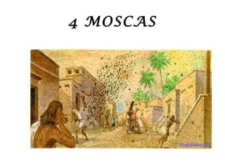 4 MOSCAS
 
