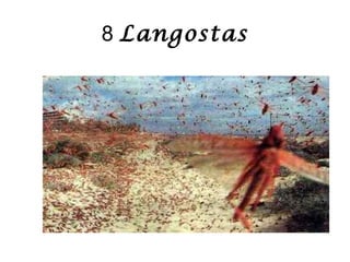 8 Langostas
 