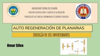 UNIVERSIDAD CENTRAL DEL ECUADOR
FACULTAD FILOSOFIA LETRAS Y CIENCIAS DE LA EDUCACIÓN
PEDAGOGÍA DE LAS CIENCIAS EXPERIMENTA...