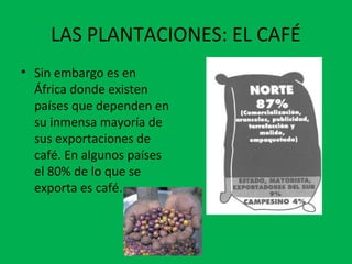 LAS PLANTACIONES: EL CAFÉ
• Sin embargo es en
África donde existen
países que dependen en
su inmensa mayoría de
sus exportaciones de
café. En algunos países
el 80% de lo que se
exporta es café.
 