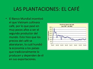 LAS PLANTACIONES: EL CAFÉ
• El Banco Mundial incentivó
el que Vietnam cultivara
café, por lo que pasó en
muy pocos años a ser el
segundo productor del
mundo. Esto hizo que los
precios del café se
abarataran, lo cuál hundió
la economía a los países
que tradicionalmente lo
producen y dependen de él
en sus exportaciones.
 