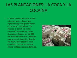 LAS PLANTACIONES: LA COCA Y LA
COCAÍNA
• El resultado de todo esto es que
mientras que el dinero que
ingresan los países productores
es de unos 5 mil millones de
dólares, el beneficio de los
narcotraficantes de los países
ricos puede llegar a ser de 300
mil millones de dólares, dándose
un margen de beneficio de más
del 400%, todo este beneficio
económico es una entrada de
dinero en los países occidentales.
 
