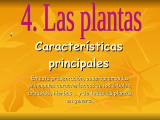 Características principales En esta presentación, observaremos las principales características de los árboles, arbustos, hierbas … y de todas las plantas en general. 4. Las plantas 