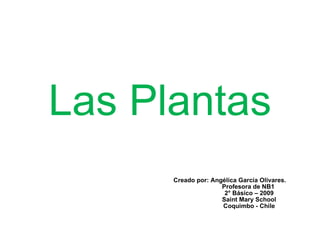 Las Plantas Creado por: Angélica García Olivares. Profesora de NB1 2° Básico – 2009 Saint Mary School Coquimbo - Chile 