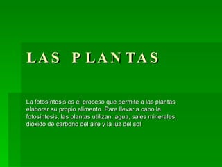 LAS PLANTAS La fotosíntesis es el proceso que permite a las plantas elaborar su propio alimento. Para llevar a cabo la fotosíntesis, las plantas utilizan: agua, sales minerales, dióxido de carbono del aire y la luz del sol  