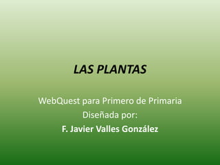 LAS PLANTAS

WebQuest para Primero de Primaria
          Diseñada por:
    F. Javier Valles González
 