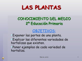 LAS PLANTAS CONOCIMIENTO DEL MEDIO 2º Educación Primaria ,[object Object],[object Object],[object Object],[object Object]