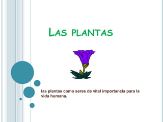 Las plantas las plantas como seres de vital importancia para la vida humana. 