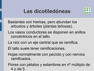 Reproducción alternante: El esporofito es bastante más grande que el gametofito. En el gametofito se producen los gametos masculinos y femeninos 