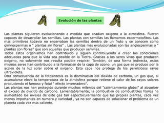 Las plantas siguieron evolucionando a medida que añadían oxígeno a la atmósfera. Fueron capaces de desarrollar las semillas. Las plantas con semillas las llamamos espermatofitos. Las más primitivas todavía no encerraban las semillas dentro de un fruto y se conocen como gimnospermas o " plantas sin flores" . Las plantas más evolucionadas son las angiospermas o " plantas con flores" que son aquellas que producen semillas. Todos estos organismos han contribuido y siguen contribuyendo a crear las condiciones adecuadas para que la vida sea posible en la Tierra. Gracias a los seres vivos que producen oxígeno, no solamente nos resulta posible respirar. También, de una forma indirecta, estos mismos seres han contribuido a la formación de la capa de ozono, un gas que se produce por la acción de la luz solar sobre el oxígeno. Esta capa nos protege de los perniciosos rayos ultravioleta. Otra consecuencia de la fotosíntesis es la disminución del dióxido de carbono, un gas que, al acumularse eleva la temperatura de la atmósfera porque retiene el calor de los rayos solares produciendo el famoso y fatal " efecto invernadero". Las plantas nos han protegido durante muchos milenios del "calentamiento global" al absorber el exceso de dióxido de carbono. Lamentablemente, la combustión de combustibles fósiles ha aumentado los niveles de este gas tan espectacularmente que las propias plantas, cada vez menos importantes en número y variedad , ya no son capaces de solucionar el problema de un planeta cada vez más caliente. 