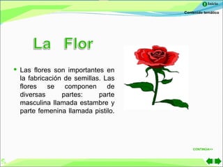 Inicio

                                    Contenido temático




 Las flores son importantes en
  la fabricación de semillas. Las
  flores    se   componen      de
  diversas      partes:     parte
  masculina llamada estambre y
  parte femenina llamada pistilo.




                                        CONTINÚA>>
 
