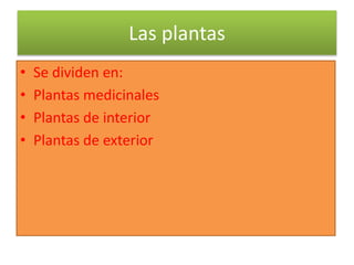 Las plantas
• Se dividen en:
• Plantas medicinales
• Plantas de interior
• Plantas de exterior
 