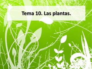 Tema 10. Las plantas. 