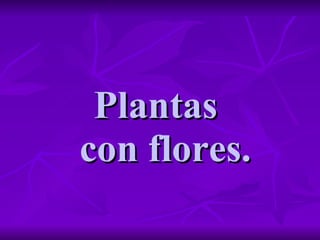 Plantas   con flores. 