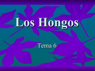 Los Hongos Tema 6 