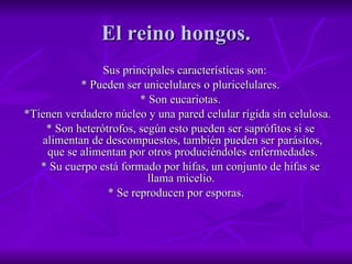 El reino hongos. Sus principales características son: * Pueden ser unicelulares o pluricelulares. * Son eucariotas. *Tienen verdadero núcleo y una pared celular rígida sin celulosa. * Son heterótrofos, según esto pueden ser saprófitos si se alimentan de descompuestos, también pueden ser parásitos, que se alimentan por otros produciéndoles enfermedades. * Su cuerpo está formado por hifas, un conjunto de hifas se llama micelio.  * Se reproducen por esporas. 