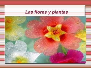 Las flores y plantas




 Exposición de Isabel
 