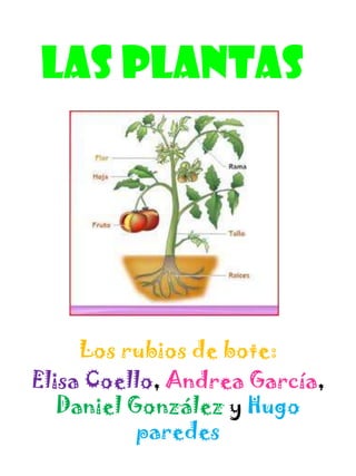 Las plantas




     Los rubios de bote:
Elisa Coello, Andrea García,
   Daniel González y Hugo
           paredes
 