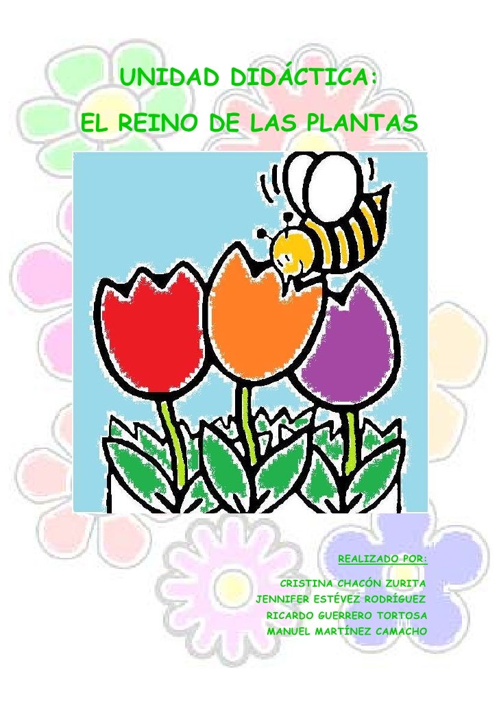 Las plantas