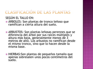 SEGÚN EL TALLO EN:
 ÁRBOLES: Son plantas de tronco leñoso que
  ramifican a cierta altura del suelo.

   ARBUSTOS: Son plantas leñosas perennes que se
    diferencia del árbol por sus raíces múltiples y
    altura más baja, generalmente menos de 3
    metros de alto. Los arbustos no ramifican desde
    el mismo tronco, sino que lo hacen desde la
    misma base.

   HIERBAS:Son plantas de pequeños tamaño que
    apenas sobresalen unos pocos centímetros del
    suelo.
 