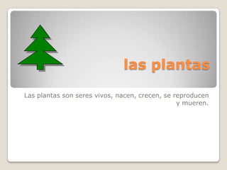 las plantas
Las plantas son seres vivos, nacen, crecen, se reproducen
                                                y mueren.
 