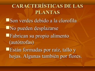 CARACTERÍSTICAS DE LAS
        PLANTAS
Son verdes debido a la clorofila
No pueden desplazarse
Fabrican su propio alimento
 (autótrofas)
Están formadas por raíz, tallo y
 hojas. Algunas también por flores.
 