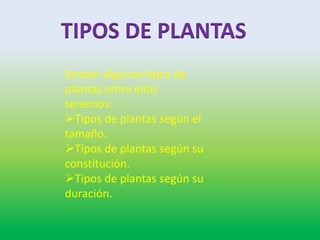 TIPOS DE PLANTAS
Existen algunos tipos de
plantas entre ellos
tenemos:
Tipos de plantas según el
tamaño.
Tipos de plantas según su
constitución.
Tipos de plantas según su
duración.
 