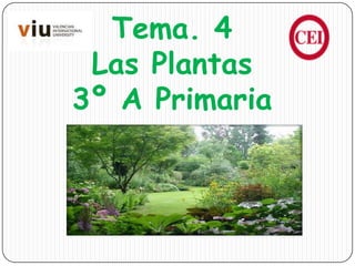 Tema. 4
Las Plantas
3º A Primaria
 