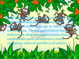 Todos los vegetales que han vivido desde hace
millones de años han suministrado el
oxígeno suficiente para que la vida continúe
en el planeta. Plantas que vivieron hace
millones de años nos proporcionan ahora
combustible para calentarnos o mover
máquinas, como el petróleo o el carbón.
 