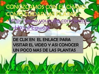 DE CLIK EN EL ENLACE PARA
VISITAR EL VIDEO Y ASI CONOCER
UN POCO MAS DE LAS PLANTAS
http://www.youtube.com/watch?
v=H93nFEgw6J8
 