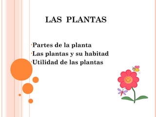 LAS PLANTAS
•Partes de la planta
•Las plantas y su habitad
•Utilidad de las plantas
 
