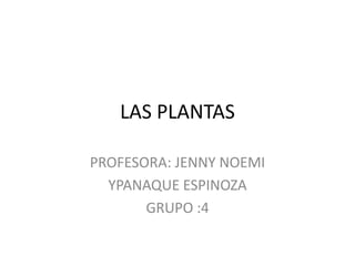 LAS PLANTAS
PROFESORA: JENNY NOEMI
YPANAQUE ESPINOZA
GRUPO :4
 