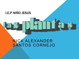 I.E.P NIÑO JESUS
NICK ALEXANDER
SANTOS CORNEJO
 