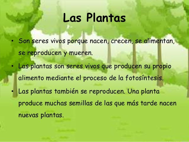 Las plantas
