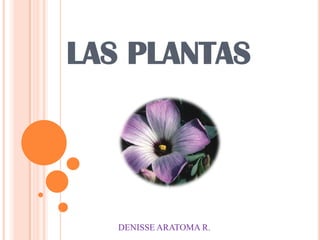 LAS PLANTAS

DENISSE ARATOMA R.

 