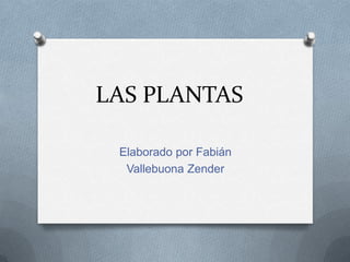 LAS PLANTAS
Elaborado por Fabián
Vallebuona Zender

 