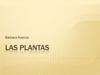 Bárbara Avenza

LAS PLANTAS

 